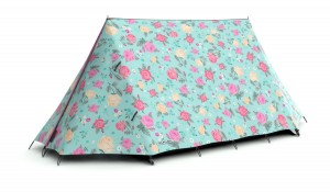 FieldCandy_02