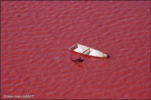 S?n?gal le lac Retba (lac rose)