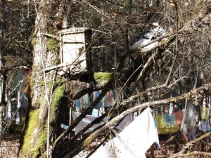 Tree burial in Drawalong Valley of Bomi