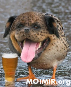 dognduckpint