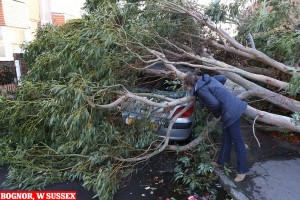 1 HIGH WINDS SUSSEX.jpg