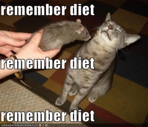 funny-pictures-cat-smells-rat-and-tries-to-remember-his-diet