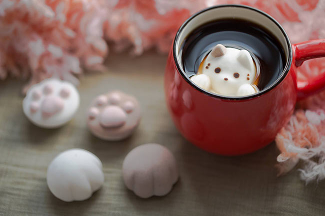 marshmallow-cat-japan-4