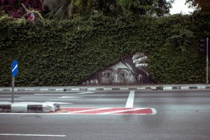 When Street Art Combines With Nature Art 13