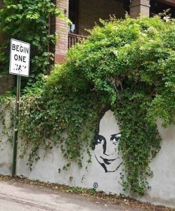 When Street Art Combines With Nature Art 14