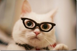 animals-wear-glasses-11_thumb