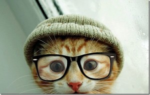 animals-wear-glasses-31_thumb