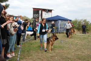 Vistavka sobak v Kishineve 2014-202