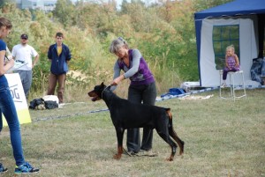 Vistavka sobak v Kishineve 2014-208