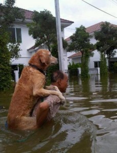 thailand-navodnenie (1)