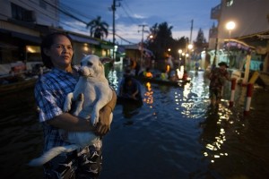 thailand-navodnenie (20)