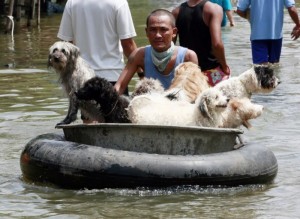 thailand-navodnenie (24)