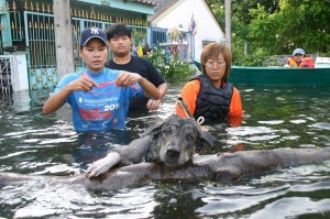 thailand-navodnenie (52)