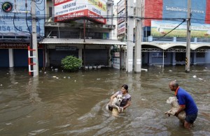 thailand-navodnenie (54)