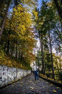 Bran Castle Drakula Zamok-009