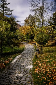 Bran Castle Drakula Zamok-074