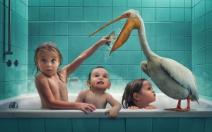 original_johnwilhelm-1