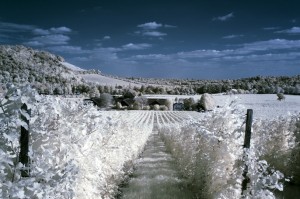 denbies-in-snow-2