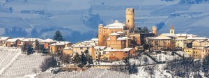 magical-winter-vineyards-header