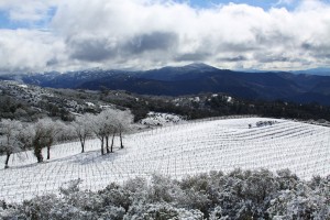 silverwood_ranch_snowView