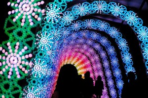 winter-light-festival-nabano-no-sato-japan-9