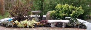 Mixing-up-the-textures-and-the-colors-of-the-trees-shrubs-and-plants-create-an-authentic-garden-scene-in-miniature