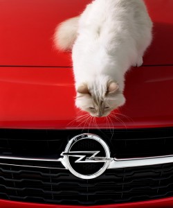 Opel_Corsa_Karl_Lagerfeld_3