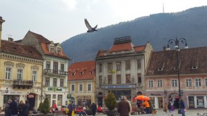 Brasov photos-030