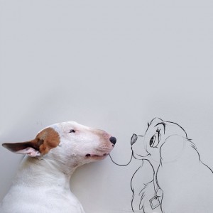 bull-terrier-jimmy-choo-01